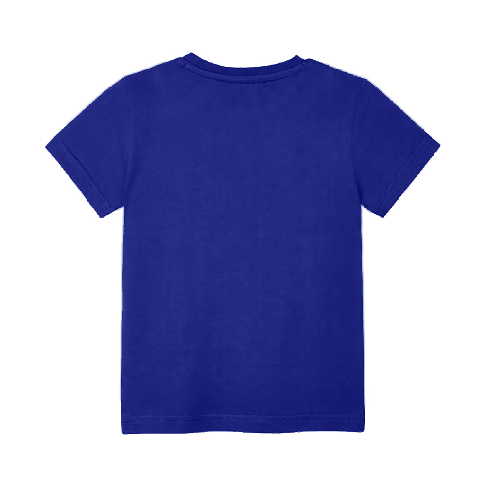 Dino Themed Name/Age Personalised Theme Tshirts for Kids